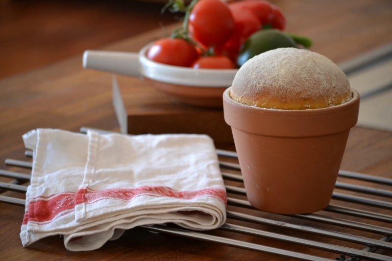 Bread...flower pot :)